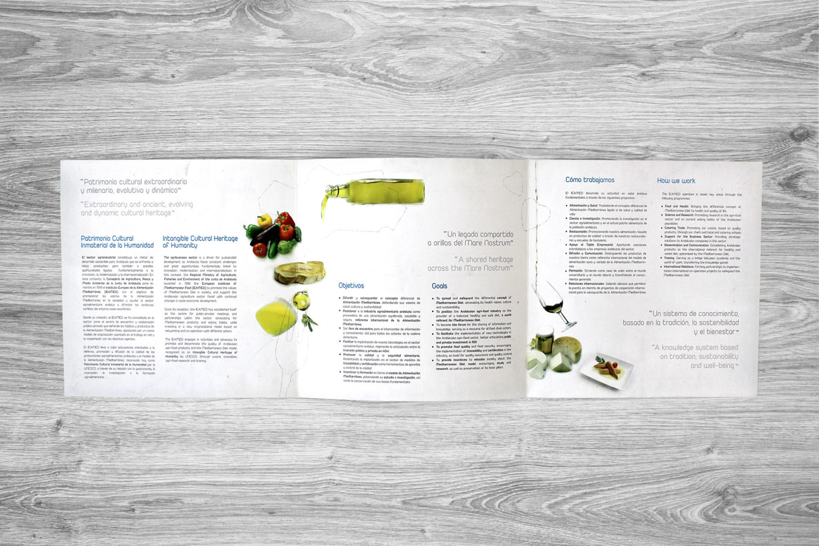 interior tríptico IEAMED